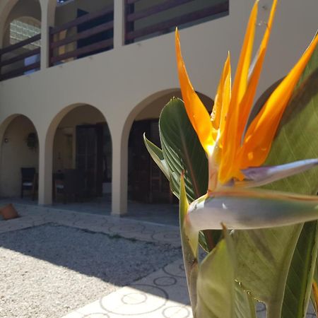 Santo Quintal Hostel Ubatuba Exteriör bild